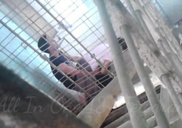 ခိုးစားပေမယ့် ချောင်းရိုက်မလွတ်တဲ့ အတွဲ